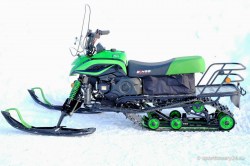 dingo t150 2017 1